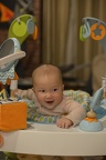 7 Months Old