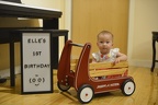 1 Year Old