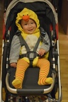 14 Months Old